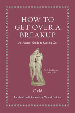 How to Get Over a Breakup von Princeton Univers. Press